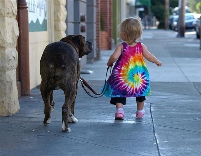 BLOG.PETSY