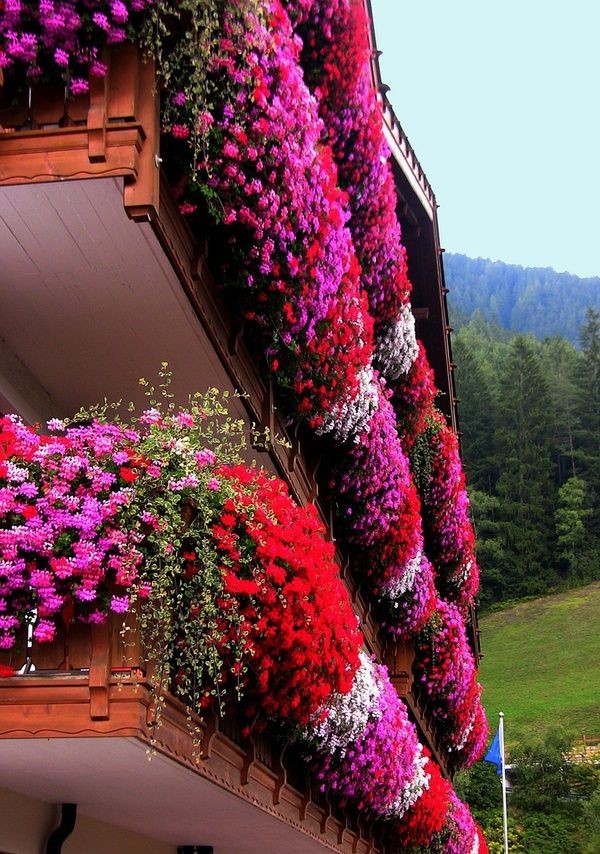 full+flowered+balcony.jpg (600×854)